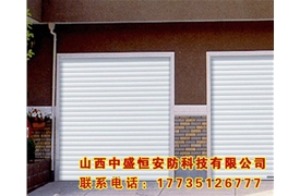 普通烤漆車(chē)庫(kù)門(mén)