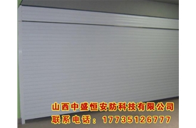 普通烤漆車(chē)庫(kù)門(mén)